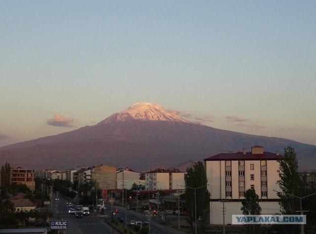 Арарат