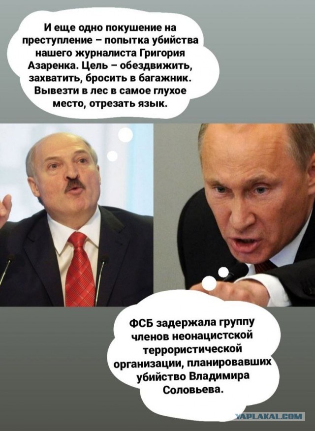 ФСБ задержала группу членов неонацистской террористической организации, планировавших убийство Соловьева