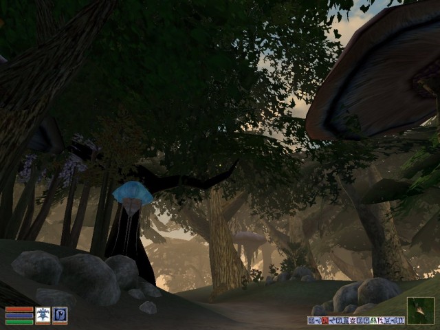The Elder Scrolls