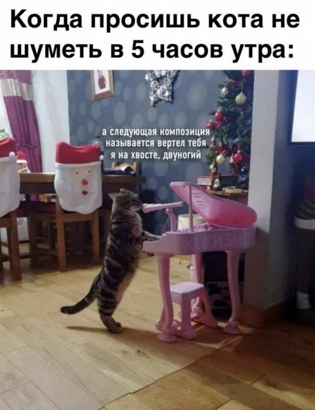 50 оттенков серого. Vol.15 Или самосвал баянов