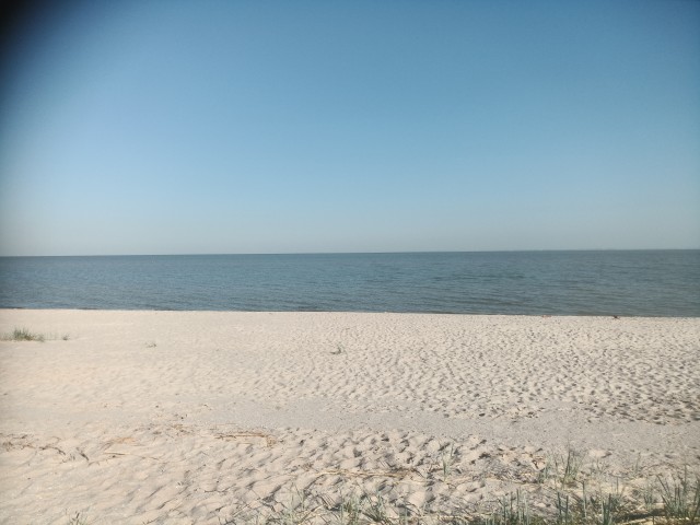 Доброе утро ЯП