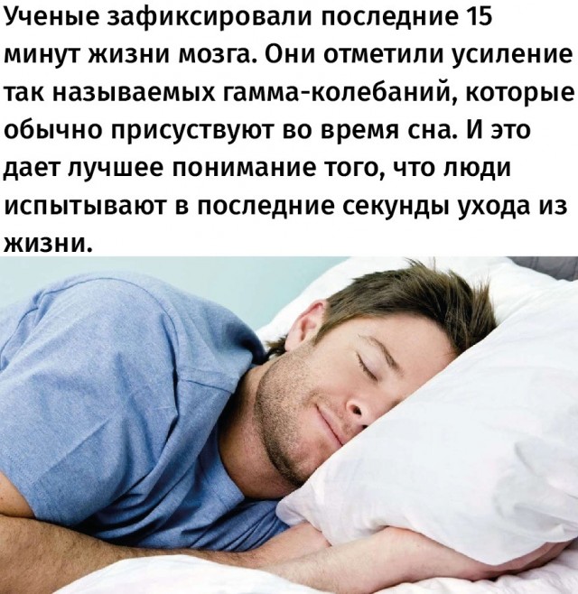 Так себе картинки 12.07.22