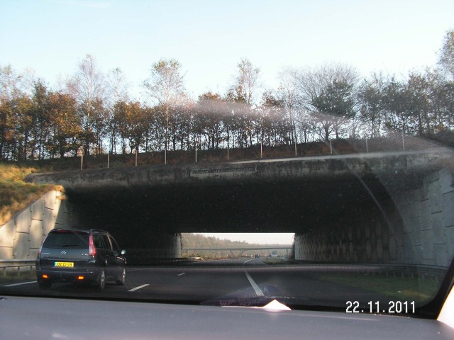 Как мы сгоняли в Амстердам