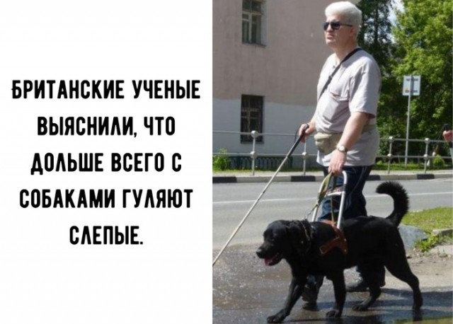 Немного забавных картинок