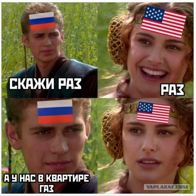 Весёлый полтишок 18.08.22
