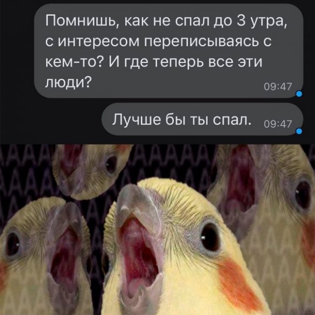 Картинки и мемы для настроения - 009
