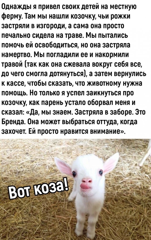 Так себе картинки 23.09.22
