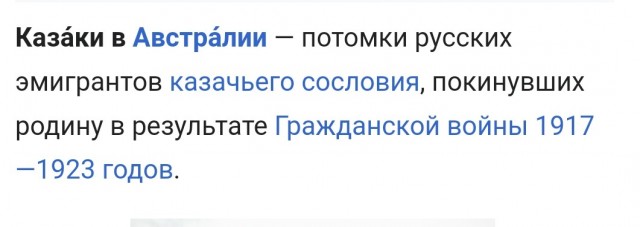 Атамана австралийских казаков задержали за драку на митинге