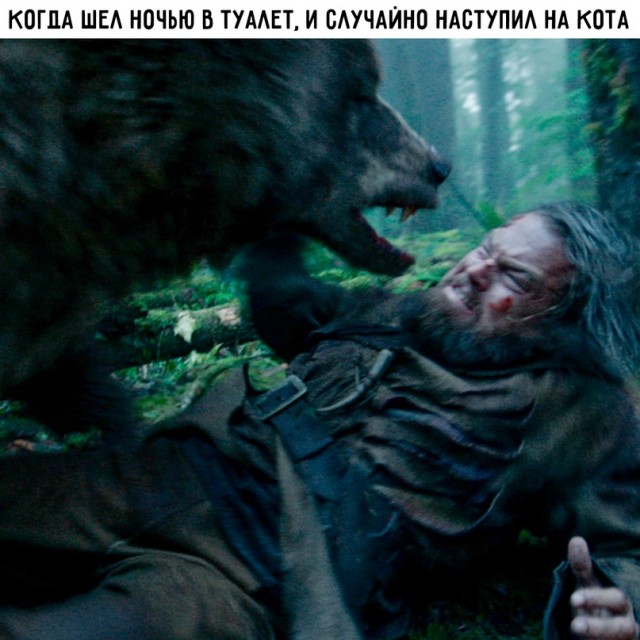 Весёлый полтишок 29.12.22