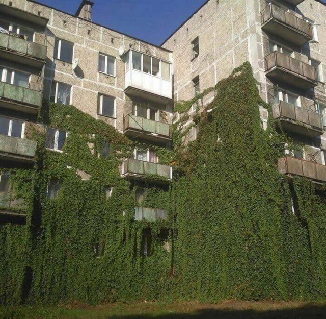 Прикольные и просто красивые картинки 30.12.2022