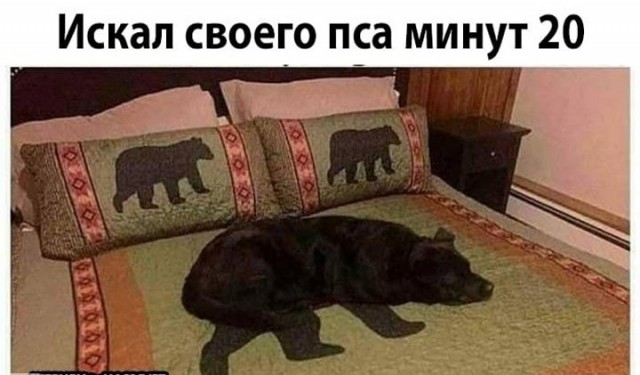 Так себе картинки 10.01.23