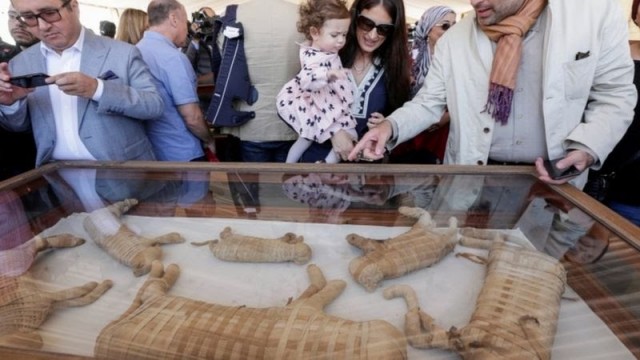 Новая загадка Египта. Захоронение ребенка со 142 собаками