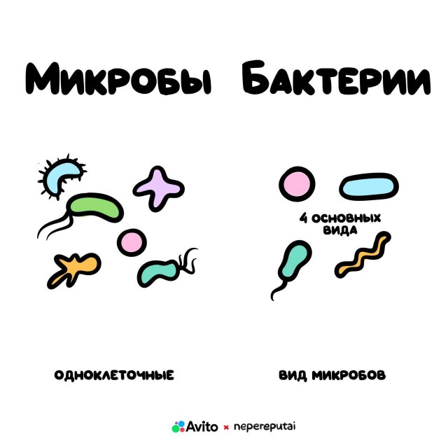 Смотри, Кутузов, не перепутай... vol.2