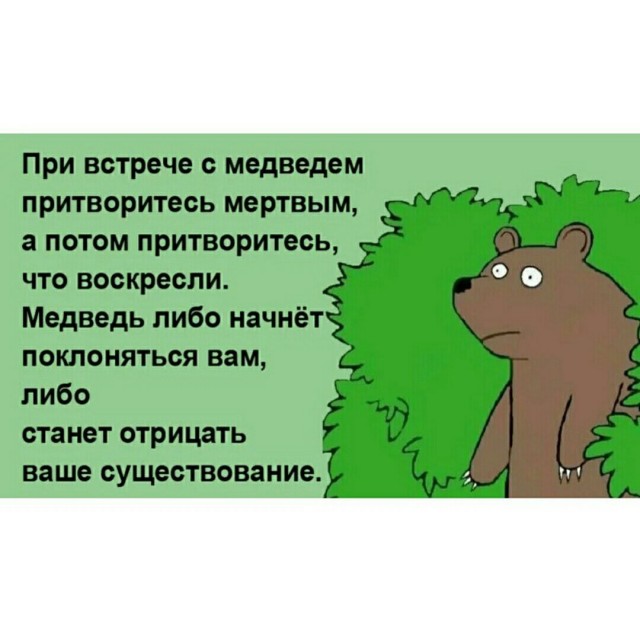 Хочешь утром вылезти из палатки, а там... медведь