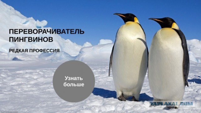 Лоза заявил, что космонавты скрывают правду о форме Земли
