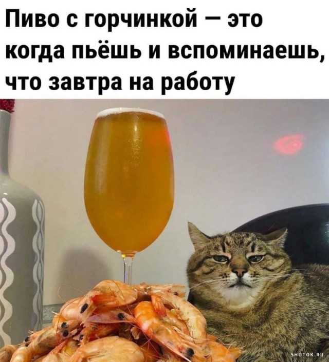 Тлидцать тли от 22 февлаля