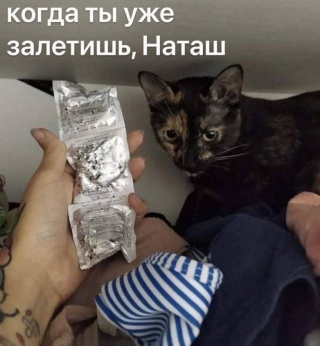 Отряд быстрого деградирования