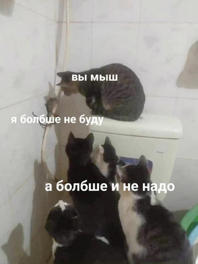 Это провал