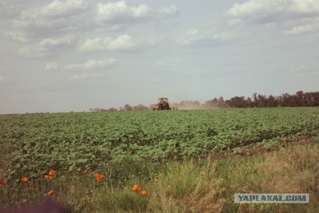 В дали от городской суеты