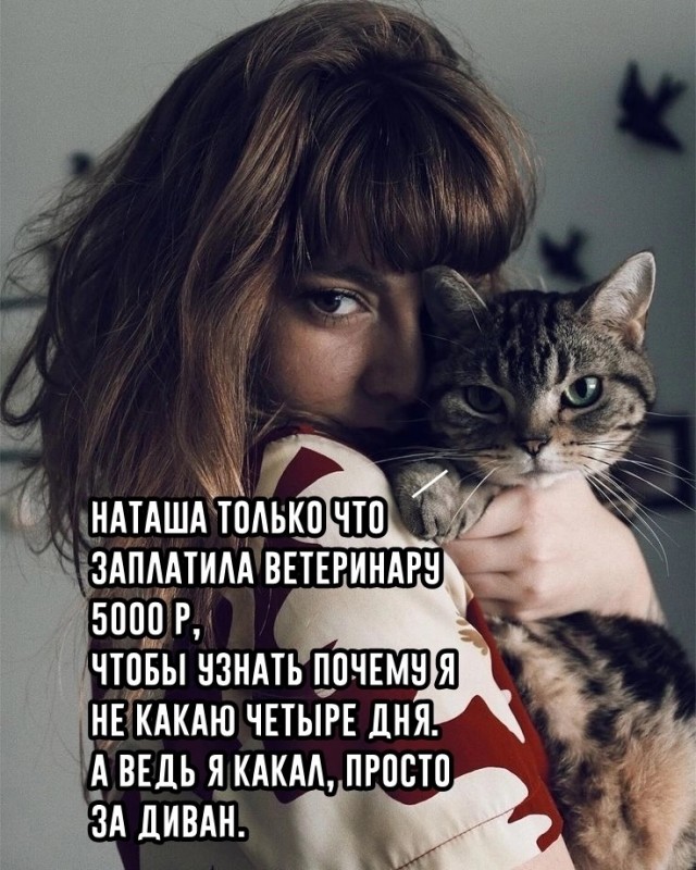 Шрус на вишнёвой поляне