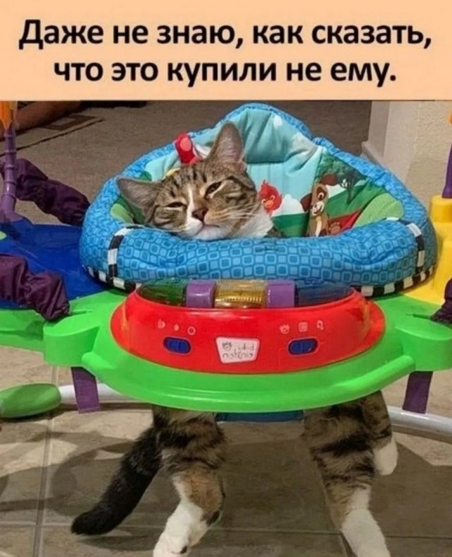Доставка новостей