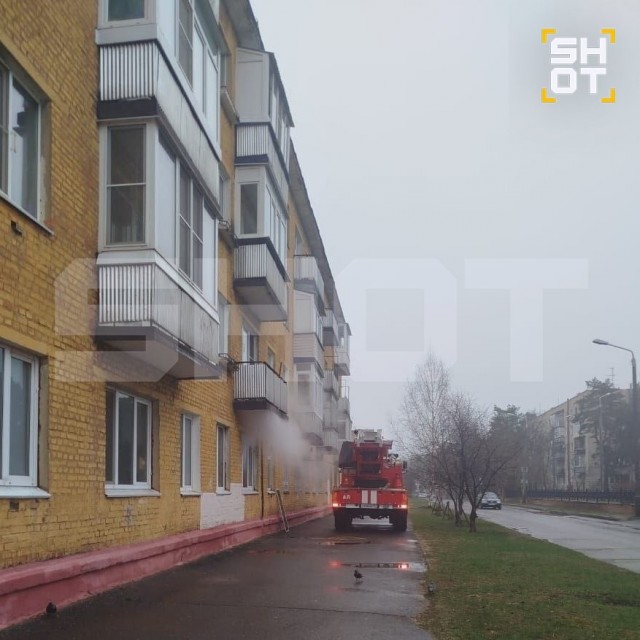 Дочь зарезала маму из-за того, что та заставляла её найти работу.