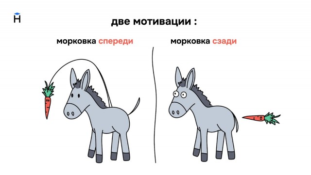 Поздние дети