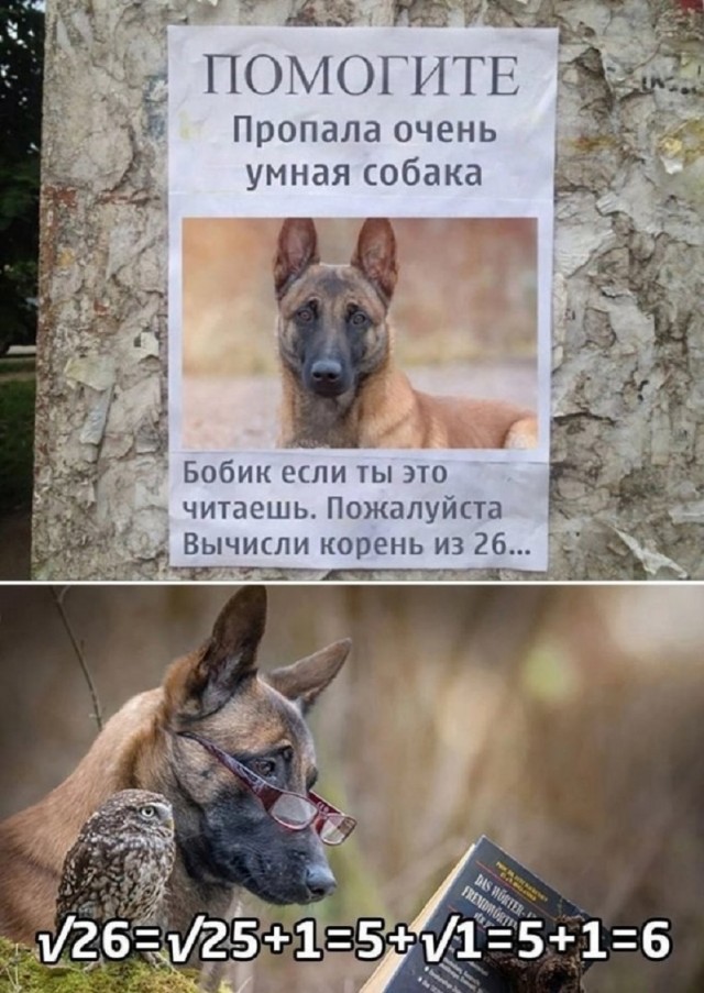 Так себе картинки 22.07.25
