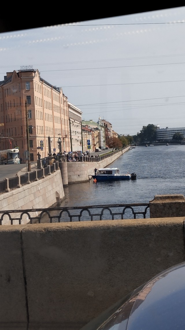 В Петербурге четвёртый день пытаются вытащить кота, застрявшего в облицовке набережной Фонтанки.