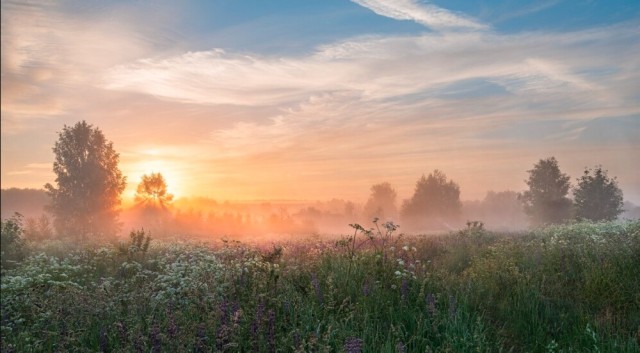 Так всякие картинки