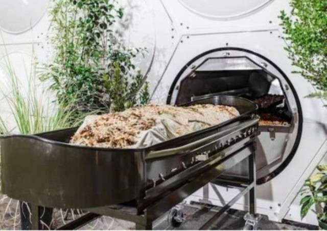 Рубрика "Их нравы"