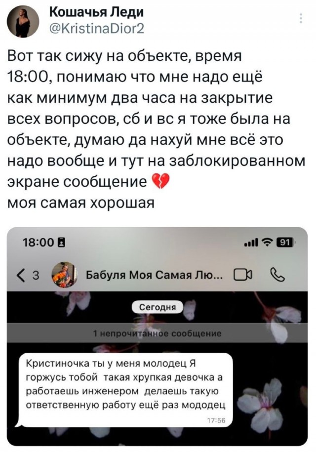 Веселое настроение в картинках (28.09.2025)