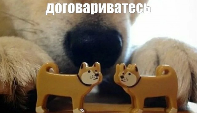 Так выглядит сектор Газа после двух лет войны