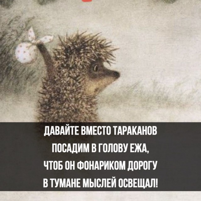 Прикольные и просто красивые картинки 07.11.2025