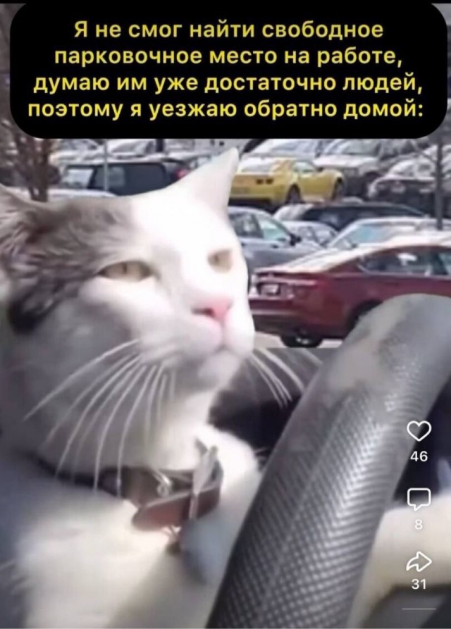 Пятничные картинки
