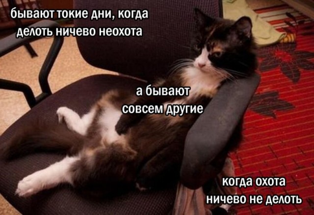 Всякой Хни вам в ленту, дорогие деграданты