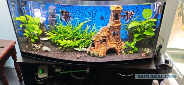 Может аквасреду введем?