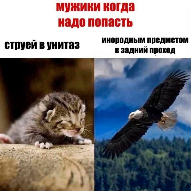 Если что-то может быть понято двояко — оно будет понято неправильно