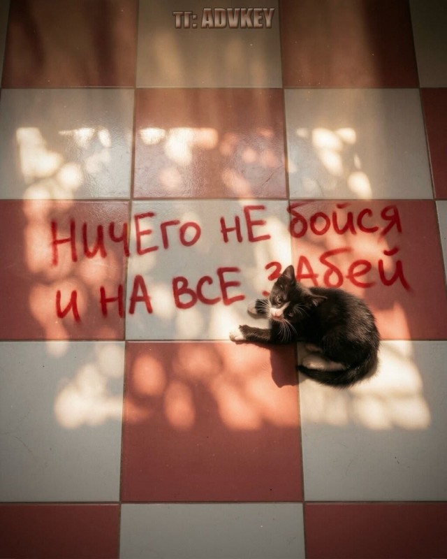 Прикольные и просто красивые картинки 15.05.2026
