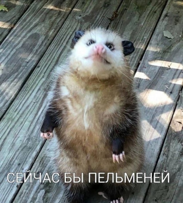 Японская поэзия прекрасна!!!