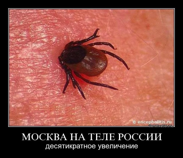 Это они нарочно? Но зачем?