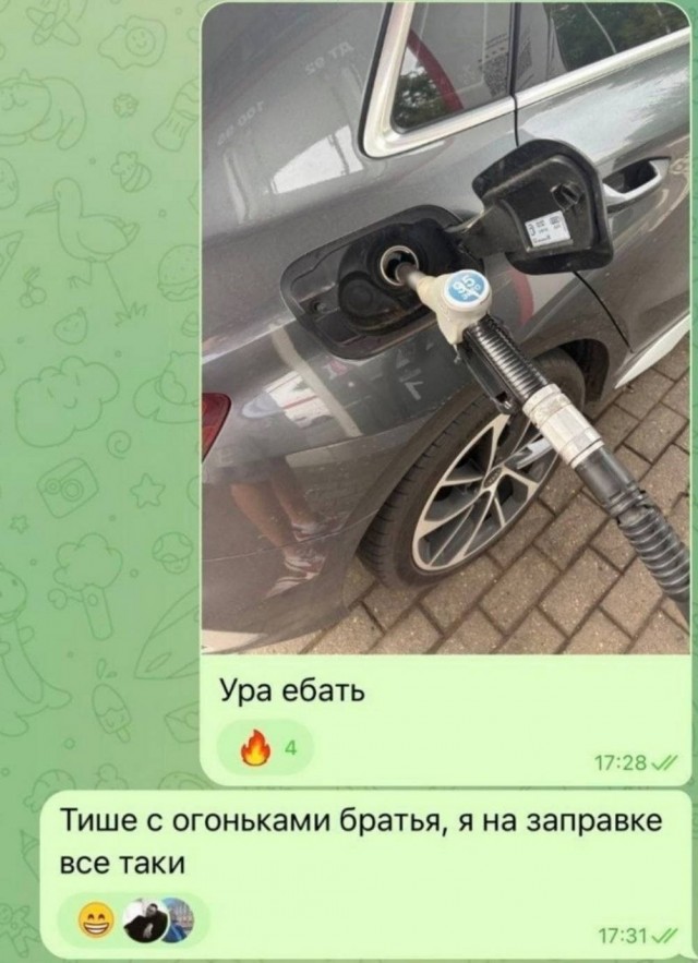 Картинки для деградации 261 (разной степени свежести)
