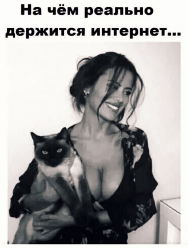 Прикольные и просто красивые картинки 23.10.2026