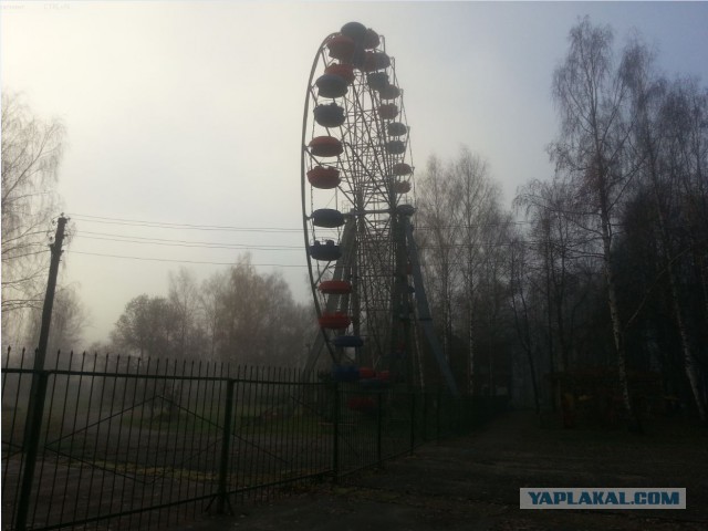 Красота природы не зависит от....