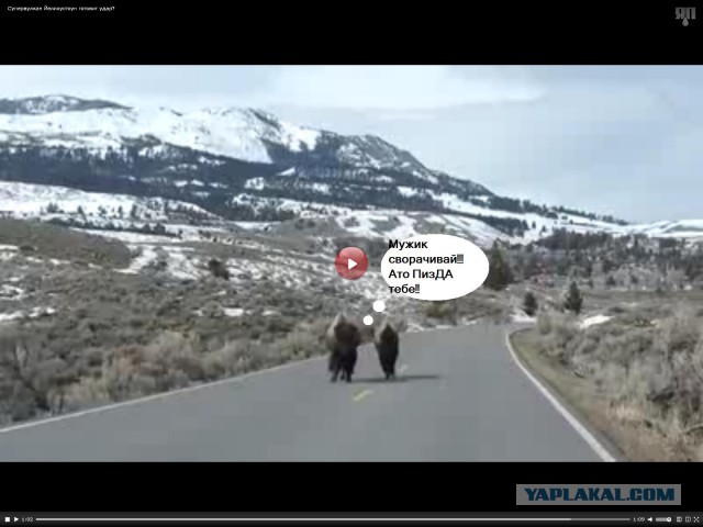 Супервулкан Йеллоустоун готовит удар?