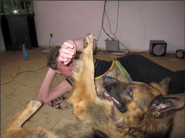 Мой собакен! Овчароид!