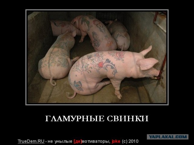Неадекватная сексуальность