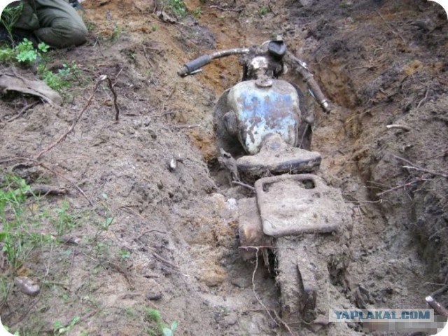 Находки в лесу.