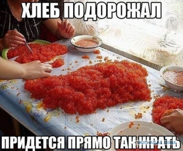 Смешное из сети #2