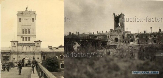 Говорите по-польски)